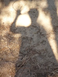 My shadow
